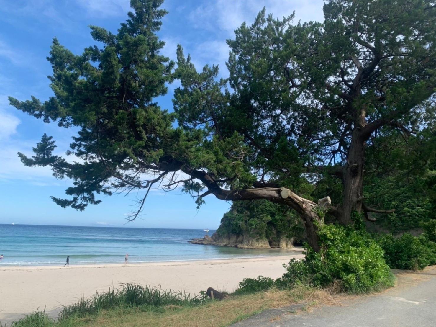 貸別荘吉佐美苑 Shimoda (Shizuoka) Exterior foto